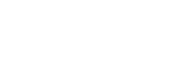 Simulador BR
